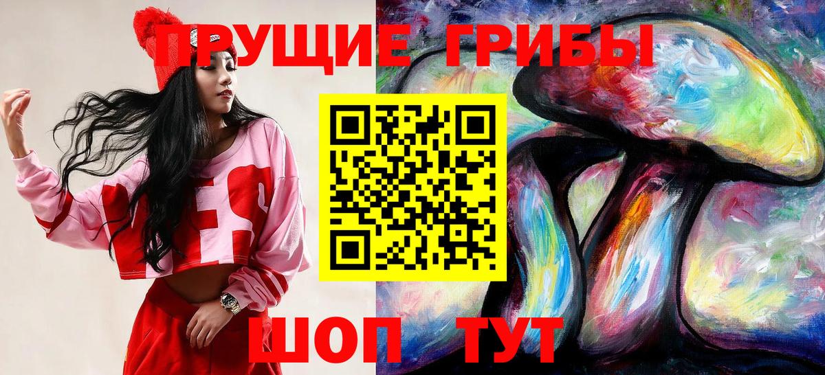 Галлюциногенные грибы Cubensis  Вход с VPN  Конаково 
